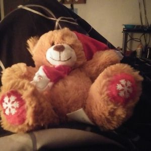 Chrismas stuff bear